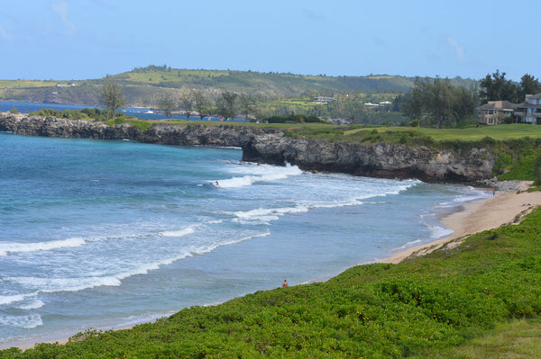 Surrounded by incredible beauty in Maui